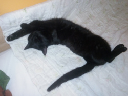 0fd7a69e-4b53-4c70-80a0-664e5fa2d210