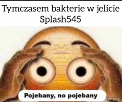 4f2d9cb0-4c84-49d6-84a2-cb1cf6671505