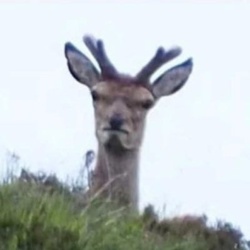 d4051330-c038-47a0-ba43-0dcf0350d0a4