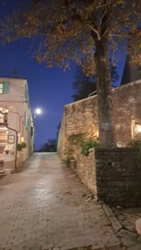 d9571159-4436-4d93-b277-fda4a1a89403