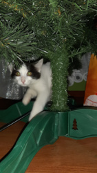 1962a2d0-c9da-4943-95b9-caac57f57c00