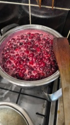 081b8a72-8275-44fb-9565-3cf3ce98d16d