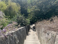 281b1027-381c-4bc3-952d-4c898a8d15f5