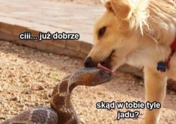 cdb22a33-8bfb-4ab2-af80-d279cb8f3f6a