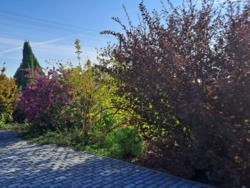 0e6c1b5c-c895-42bb-8d0b-9bd62817949f