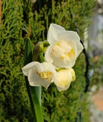 0f536f78-d6a5-4bee-939e-12845591d3bb