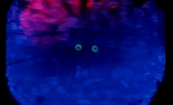 4b39aeeb-cf91-4324-9679-416591592b19