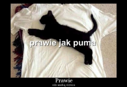 4647bef3-3e32-4cbb-92de-6886f4b49e2a