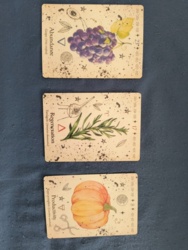 cbea5259-00f1-49b1-8e0f-81a661491e8e