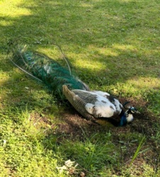 6bd22eb7-e1ce-4efc-ae80-6192740e31ac