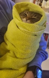 bb962352-e71c-4a8b-bb46-d31552b66d73