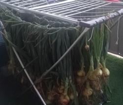 00f88e96-46de-4d5e-a28f-85337b98e5e1