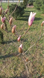 67754271-d35c-4eaa-8eca-fd05729d2f69