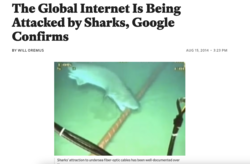 1798fac9-e6ff-41b2-bc1c-eac4244fb7f8