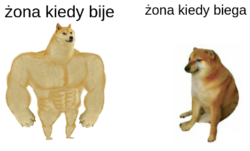 4307abd3-3ab7-401e-b6bd-ca275c7d59d6