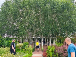 3bf9f428-711e-4254-86d0-e57d6d98f976