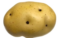 d76bffd0-b9c1-4987-a7cb-5fc344fff443