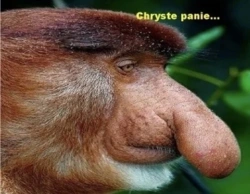 e0f48ab3-89d7-4f21-beaa-0799c1453c83