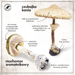 6d5da5bd-9cae-4d61-82c8-1c244673ee30