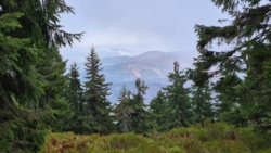 72cc8d7e-0a58-41fa-a533-c8fa10e9eefb