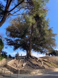 a7cf1158-4edf-42ed-a595-a28e32c5d525