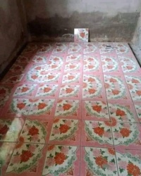 3f520f43-bb6e-416d-95aa-9d1c7a14f13e