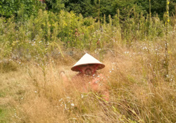 e81dc817-681e-4381-94f1-8b5014824d2d