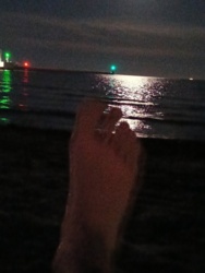 51cb3e91-dbcf-43e1-93e7-04d1f7250c49