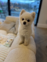 5a472d7c-7827-4f50-9817-a76308030c9e