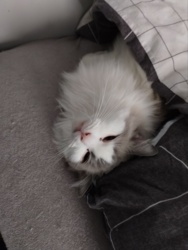 54ddb19f-d449-4c75-93df-e50872d750f7