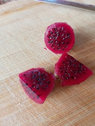 b3b87697-390f-4274-8c11-86049b6f2525