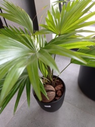 4e40faaa-30da-47eb-8ef4-2767e7e69eb9