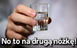 3d9b1c41-eda7-4e02-8110-0082797b39b5