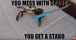 2df11a07-6c91-4b2d-8e08-0e2763fdef3e