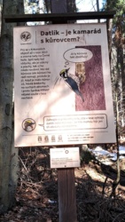 40672699-fa58-435b-8b0d-60faddd47fa1