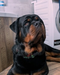 5562313d-599a-46b0-aeb1-a820e2924f77