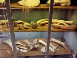 4e081862-7b54-4276-b4f2-2e8e160fa31e