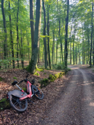 6a03e78e-220d-4395-bffe-6c568b0d3b9a