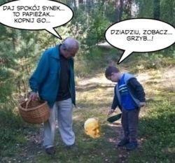 38779328-4a82-457f-868b-b446ce24758a