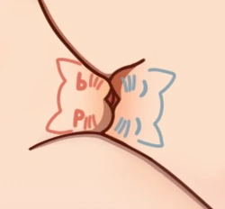 55ea7954-1088-4a6e-9ee2-f9cd27a8de66