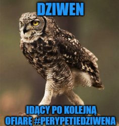 77bff7da-984e-4fdd-a6c8-279cd8e15fe5