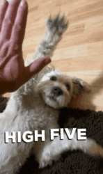 d27d3af0-5ba7-455e-9f97-9624e051ffb3