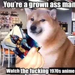 20caad34-79c6-47d6-926f-2328fecbf432