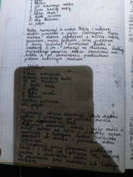 c6be6f82-ddf0-4b3d-8ff0-3d64699fff33