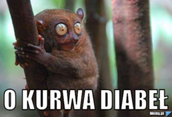 97dbac89-bcc8-4600-bab6-6d0b240d5c1e