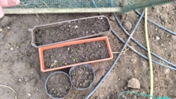 9b27f805-52d7-433e-b5b4-f92dcbd89a70