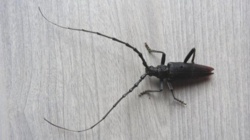 3b1ea8db-9f1f-48ef-aab6-166ccfe806be