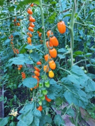 68653502-f42f-452f-adad-abec1bc7f73d