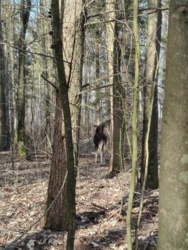 3d7aaf88-22f6-4e51-acf7-62230498cb37