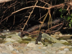 aa804848-7b48-4834-a156-0a03a3e8020a